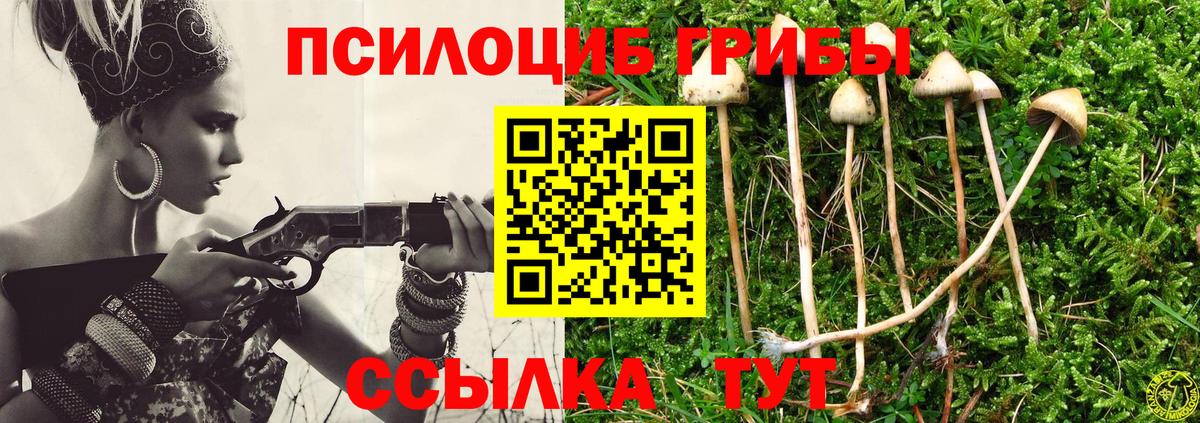 Псилоцибиновые грибы мицелий Моздок