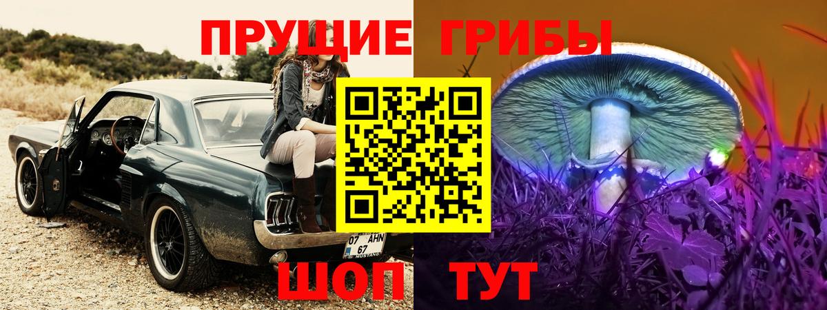Псилоцибиновые грибы GOLDEN TEACHER  Вход с VPN  Моздок 